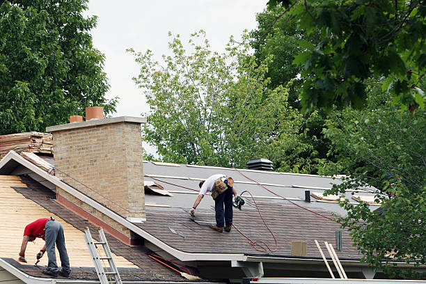 Best Storm Damage Roof Repair  in USA